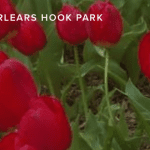 Spring! It's My Park Day