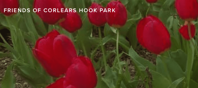 Spring! It's My Park Day