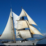 Corwith Cramer Tall Ship Docking Tours