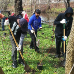 Earth Day Tree & Shrub Planting