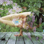 Yoga in the Garden 2019