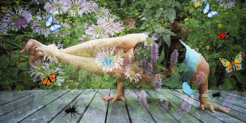 Yoga in the Garden 2019