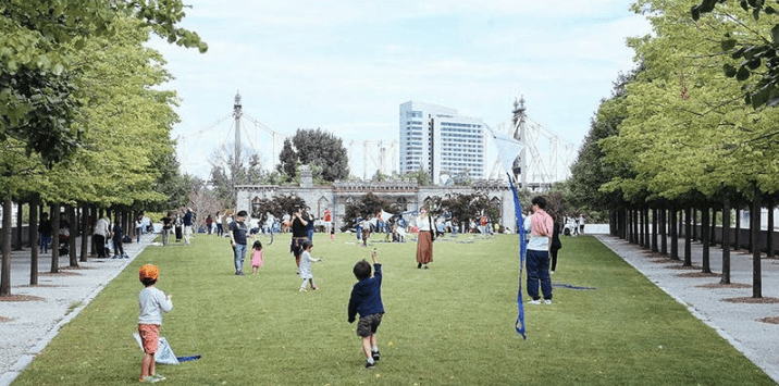 Kite Flight for Peace & Human Rights